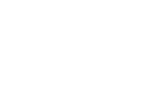 BrickBros.eu